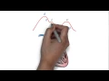 JVP waveform explained