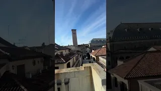                     دندنها
