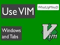 Use VIM Windows and Tabs