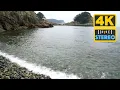 Gentle Ocean Waves Pebble Beach birdsongs - Nature Ambient Sound Refresh Relax Study 4K