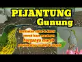 Download Lagu Pijantung gunung tembakan rapat
