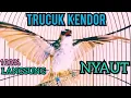 Download Lagu TRUCUKAN BAHAN TRUCUK OMBYOKAN TRUCUK PAUT BISU PASTI BUNYI DENGAR SUARA TRUCUK GACOR NGALAS INI ‼️