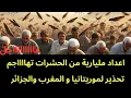 Lagu عاجل : تحذير لأهلنا في المغرب والجزائر و موريتانيا..اعداد مليارية من هذه الحشرة تهاااجم 