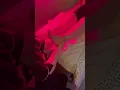 The Ultimate Spa Reset Hot Stones Massage Foot Ritual Nelson BC