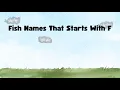 Fish Names That Starts With F