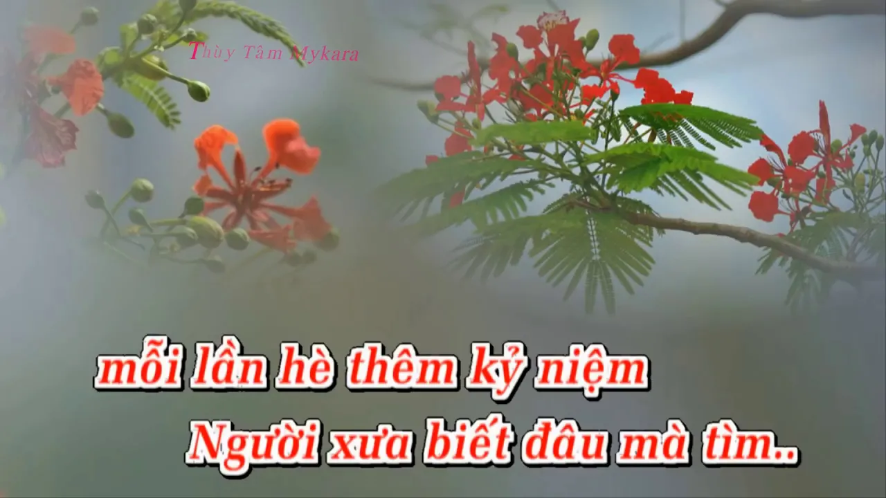 karaoke LK Nổi Buồn Hoa Phượng-Lưu Bút Ngày Xanh Thuỳ Tâm