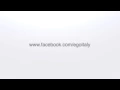 FRITZ KALKBRENNER - Void (Video Lyrics) [Spada Remix]