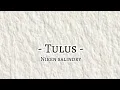 Download Lagu full lirik lagu Tulus - Niken salindry
