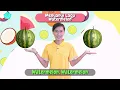 Download Lagu Belajar Bahasa Inggris Nama - Nama Buah, Bernyanyi Lagu Watermelon Dan Senam Pohon Apel
