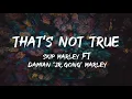 Skip Marley - that's Not True (Lyrics) ft Damian 'Jr. Gong' Marley Lyrics
