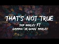 Download Lagu Skip Marley - that's Not True (Lyrics) ft Damian 'Jr. Gong' Marley Lyrics