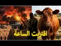 Lagu الكارثة وقعت! إسرائيل تحدد موعد ظهور البقرة الحمراء ونهاية الأقصى