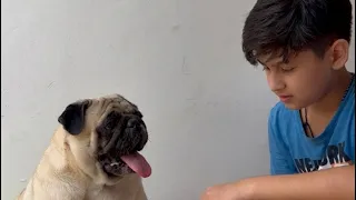 Leo Is Live 🥳🤣