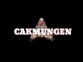 Download Lagu FREMIX-SUWUNG HEYEK CREW- DJ ARIEF ANGGARA ( ZAIN ZMIXP )