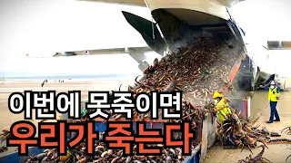 현재 한국인이 목숨걸고 멸종시키려는 존재