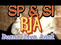 Download Lagu KUMPULAN SP \u0026 SI BJA