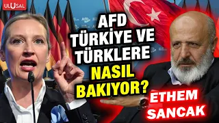 Almanya'da tarih yazan AfD partisi Türkiye ve Türklere nasıl bakıyor? Ethem Sancak anlattı!