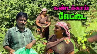 🫒🧔🏻அம்மாவும் அப்பாவும் சுண்டக்காய் பறிக்க மலைக்கு ஒரு பயணம் 🌄 #trending #youtube #oct