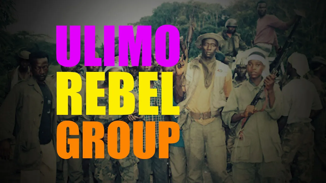 How Was The ULIMO Rebel Group Organized? (Alhaji G.V. Kromah TRC Testimony) #1980s #africa #conflict