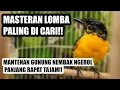 Lagu MANTENAN GUNUNG GACOR NGEROLL NEMBAK PANJANG COCOK UNTUK FULL ISIAN MASTERAN ATAU PANCINGAN SUARA