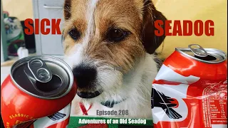 Sick Seadog