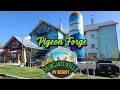 Camp Margaritaville Lodge Full Review Pigeon Forge Tn