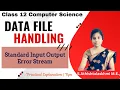 Standard Input Output Error Stream File Handling Class 12 Computer Science