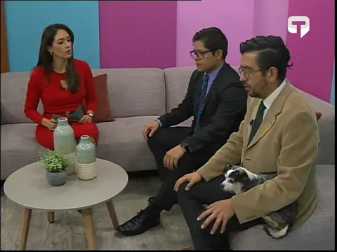 ¿Se puede pedir manutencion para las mascotas?