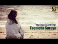Download Lagu Terasing dalam Sepi - Slam | Cover by Toenicha Soraya