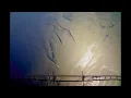 Mari Samuelsen - Helmersson - Timelapse