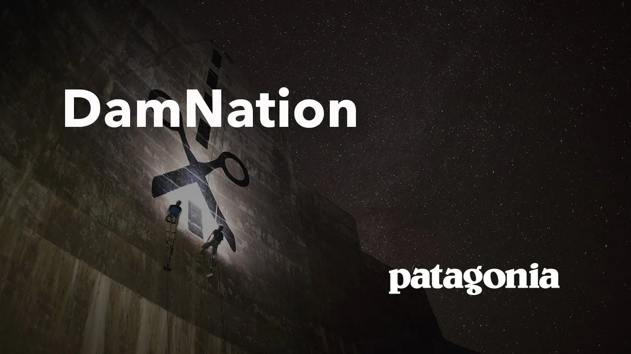 Hydropower Controversy: Dams vs. Wild Rivers in America