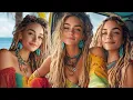 Lagu 🏝️Caribbean Soul Therapy | 24/7 Lofi Reggae Mix ft. Blonde Dreads \u0026 Catamaran Sunsets 🎧🔥