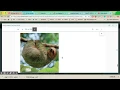 2929 Biology Module 2 Lesson 1 Principles of Ecology