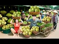 Download Lagu Harvesting \u0026 Discovering Vietnam’s Largest Custard Apple Market 🍏 Millions of Tons Sold Here