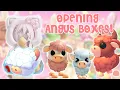 Opening Angus Boxes! | Roblox Adopt Me Christmas 2025 | Riivv3r