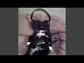 Download Lagu I Wouldn't Mind (sped up)