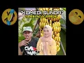 Download Lagu \