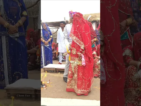 A Traditional Village Wedding in Rajasthan 😲