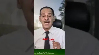 بذور الخله لالتهاب المسالك البوليه ولالتهاب البروستاتا ولحصى الكليتين مع خبير الاعشاب حسن خليفه 