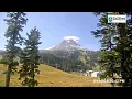 Mt Hood Meadows