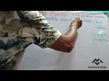 Part 44 - Boyer Moore Algorithm