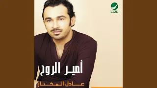                    دندنها