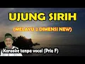 Download Lagu Ujung sirih karaoke melayu 2 dimensi new