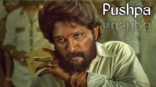 pushpa the rise 2021 part 1 telegu movie explained in english rr movies point