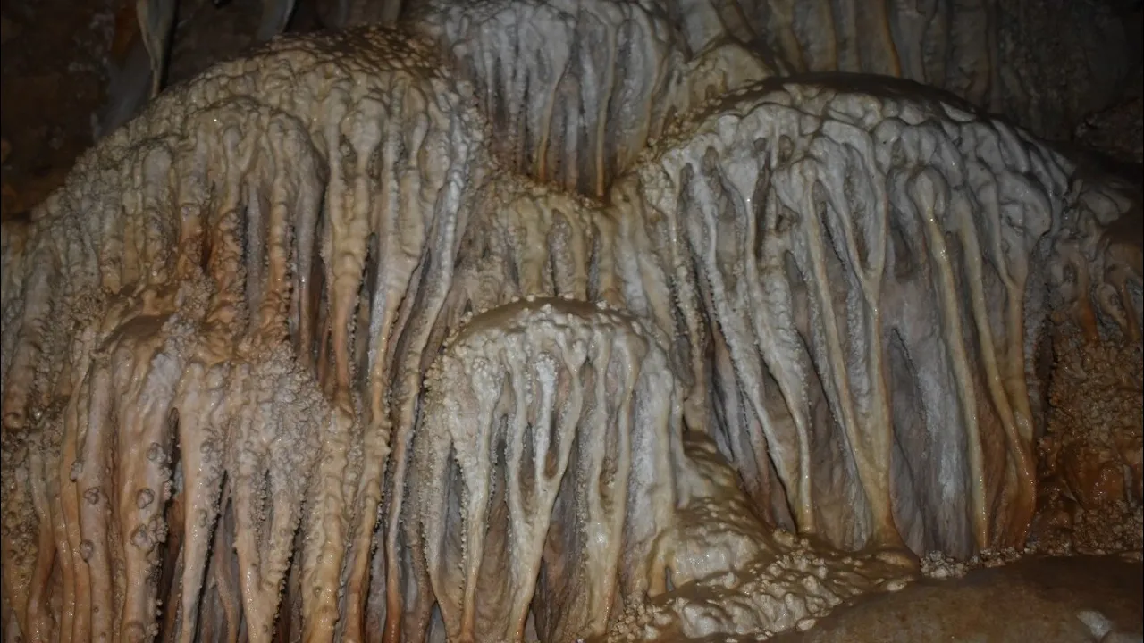 Quaaludes, Shakedowns & Tamaulipan Cloud Forests