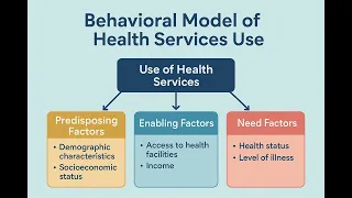 National Health Surveys and the Behavioral Model of Health Services Use