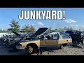 Quick visit to LKQ Cincinnati Junkyard
