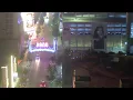 Live Reno Arch Camera