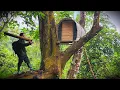 Download Lagu I Built a Secret Jungle Treehouse Shelter to Survive Alone