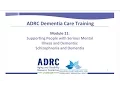 Module 11 - Schizophrenia and Dementia